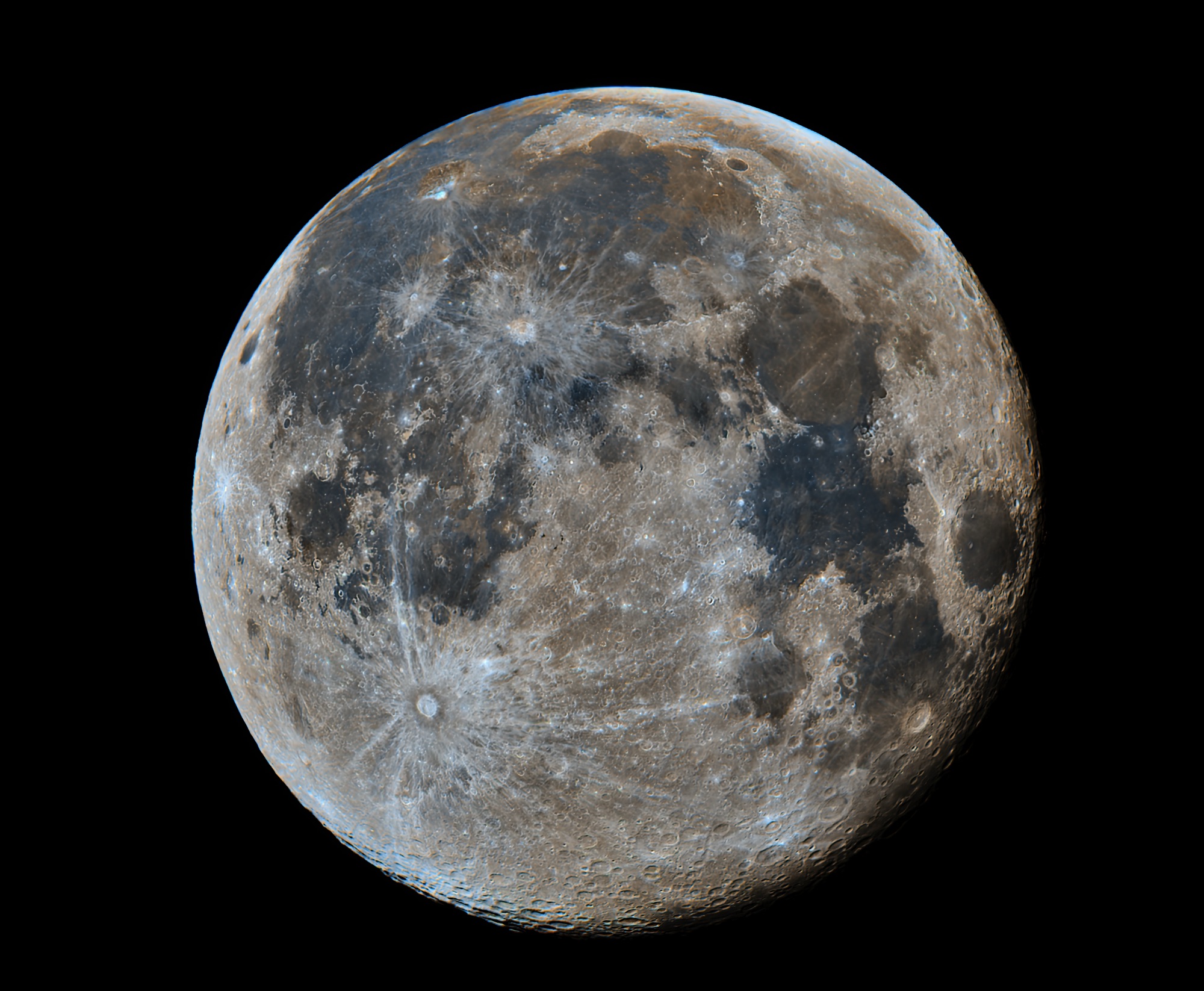 moon-mose-big-2-1-2-24-1.jpg
